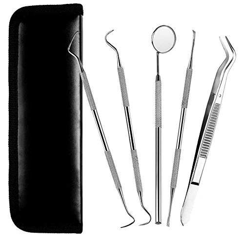 Dental Tools, Zeiger Stainless Steel Dental Hygienist Pick Tooth