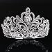 Gold Silver Crystal Heart Rhinestone Headband Crown for Cake Topper Party Wedding Princess Headpiece Tiara (Silver)