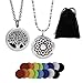 2PCS Essential Oil Aromatherapy Diffuser Necklace Pendant Set – 2 Pattern Scent Lockets, 22” & 28” Adjustable Chains, 16 Refill Replacement Pads, Gift Bag | Hypoallergenic 316L Stainless Steel Jewelry