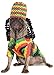 Rubies Rastafarian Pet Costume for Dogs or Cats, Medium