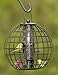 Gardener's Supply Company Globe Cage Bird Feeder | Outdoor Sturdy and Squirrel Proof Hanging Cage | Best for Finches Hummingbirds Nuthatches and Other Small Birds - Holds 3 Cups of Seeds