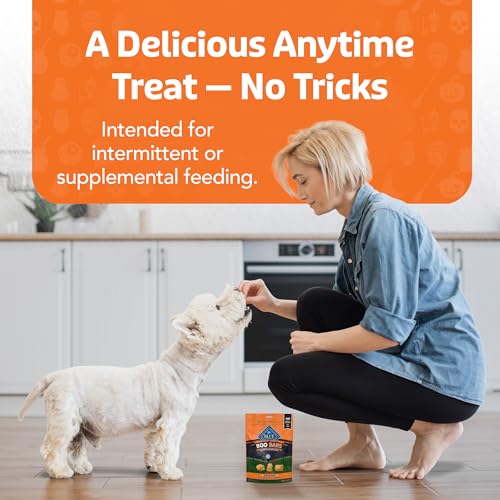 BLUE BUFFALO BOO BARS CRUNCHY DOG BISCUITS, NATURAL HALLOWEEN-SHAPED TREATS, PUMPKIN & CINNAMON RECIPE, 11-OZ BAG