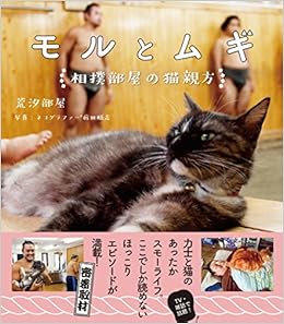 モルとムギ 相撲部屋の猫親方 (日本語) ペーパーバック – 2016/10/28の表紙