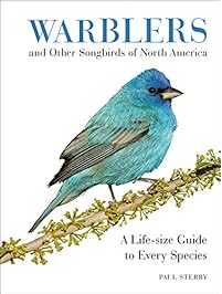Warblers and Other Songbirds of North America: A Life-size Guide to Every Species