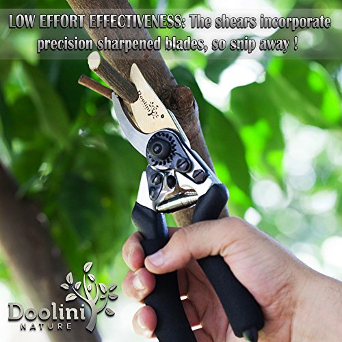 Titanium - Coated Bypass Pruning Shears by Doolini Nature, with Advanced Ergonomic Design - Free Bonus Soft Ergonomic Handles - Image 8