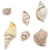 Zotoone 20pcs Natural Shell Pendants Spiral Conch Shell Beach Cowrie Sea Shells Charms Jewelry Charms Ocean Beach Dangle Beads for Nautical Ocean Summer Jewelry Craft Making