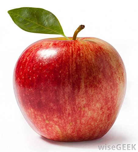 Creative Farmer Fruit Seeds : Apple Seeds Plant For Gardening Fruit Seeds Pack