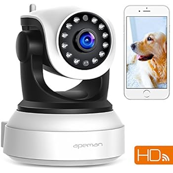 Amazon.com : SDETER IP Camera Wireless Wifi 720P HD - Plug