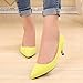 MAIERNISI JESSI Women's Classic Slip On Pointed Toe Kitten Heel Dress Pumps Shoes