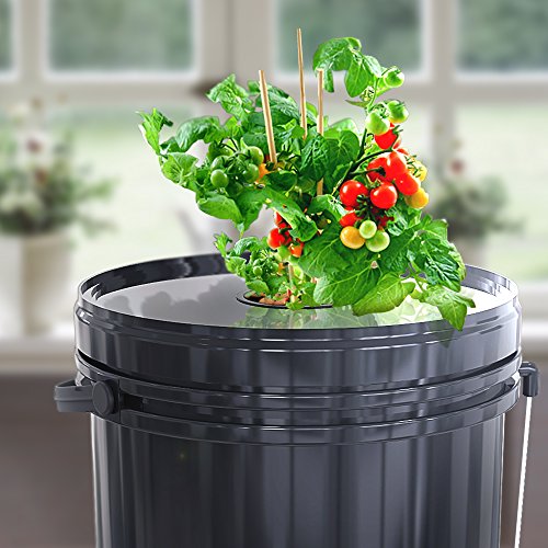 [NEW] DWC Hydroponics Growing SystemKit Large 5 Gallon Bucket w/Air