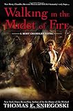 Walking in the Midst of Fire (A Remy Chandler Novel)