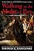 Walking in the Midst of Fire (A Remy Chandler Novel)