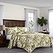 Tommy Bahama Topical Orchid Collection Quilt Set-100% Cotton, Reversible, Ideal for All Seasons, Pre-Washed for Added Softness, King, Green (Tropical Orchid Green, King)