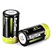 RayHom D Batteries Rechargeable 10,000mAh Ni-MH High Capacity Battery (6 Pack)