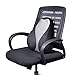 Lumbar Support Pillow for Office Chairs and Car Seats, Orthopedic Designed for Lower Back Pain Relief, 100% Memory Foam Cushion with Breathable 3D Mesh