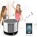 Bluetooth Speakers Lark Bird Outdoor Stereo Wireless Speakers with Bluetooth Portable Ceiling Speaker with Handsfree Speakerphone and 3.5mm Jack Build in Microphone Silver