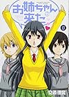 お姉ちゃんが来た 第8巻