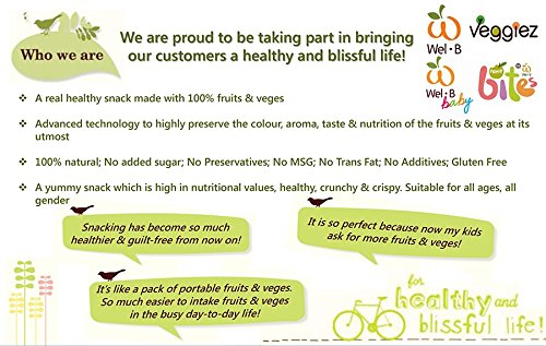 wel b baby yogurt melt