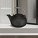 Pleasant Hearth Kettle Steamer