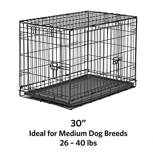 image for New World Crates New World 30