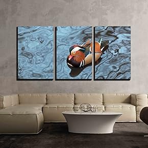 3 Piece Canvas Wall Art - Mandarin Duck Floats in a Pond in Winter Day - Modern Home Art Stretched and Framed Ready to Hang - 16"x24"x3 Panels