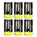 RayHom D Batteries Rechargeable 10,000mAh Ni-MH High Capacity Battery (6 Pack)