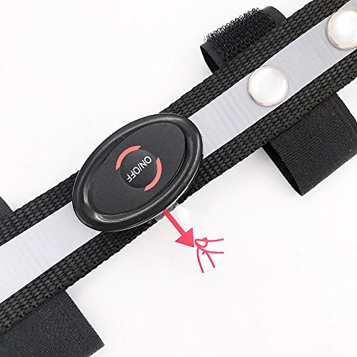 MOYLOR Illuminate LED Protective Gear Head Collar for Horse Browband Horse Bridle Safety Light Horses Equipment - Horsing Accessory (1pcs of White)