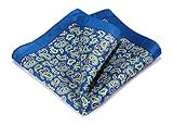 HISDERN Men's Paisley Pocket Square Handkerchief