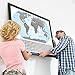 Scratch Off World Map - Premium Quality - Modern-Style - Thick & Durable - Matte-Finish - US States, Countries & Flags - Detailed Cartography - Gift Ready - Tools & eBook Included - Large