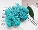 Bister 6.5oz Reindeer Moss Preserved 5 Assorted Colors for Fairy Gardens, Gift Packing, Dressing Potted Plants and More Crafts