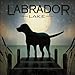 Moonrise Black Dog - Labrador Lake Art Poster PRINT Ryan Fowler 18x18