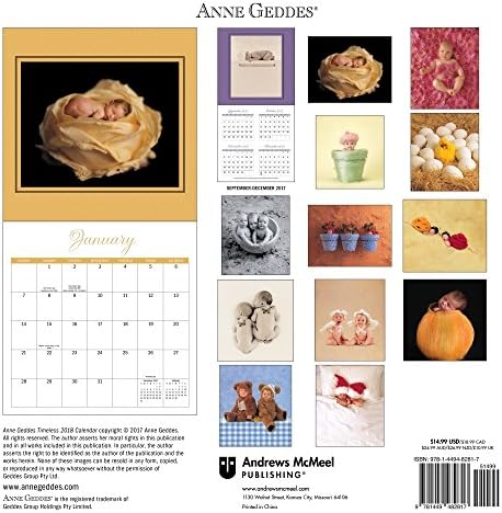 Anne Geddes Timeless 2018 Wall Calendar