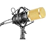 Neewer NW-800 Professional Studio Broadcasting &amp; Recording Microphone Set Including (1)NW-800 Professional Condenser Microphone + (1)Microphone Shock Mount + (1)Ball-type Anti-wind Foam Cap + (1)Microphone Power Cable (Black)