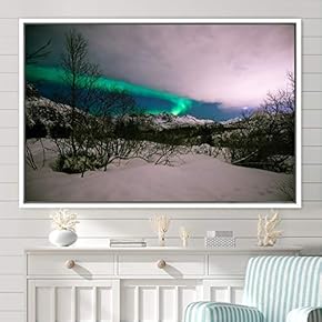 signwin Framed Canvas Wall Art Dayspring Astronomy &...