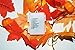 Gogo shopping 3 AA Battery Powered Lighted Fall Garland with 8 Mode - 8.2 Feet - Shades of Orange and Yellow Leaves with 20 Lights - Perfect Fall/Christmas/Home Decoration (2.5M, Warm White)
