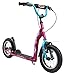 BIKESTAR Original Safety Pro Sport Push Kick Scooter Kids with Brakes, Mudguard and air Tires for Age 7 Year Old Children | Sport Edition with Alloy Wheels 12 Inch | Bewitching Berry & Turquoise
