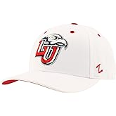 ZHATS NCAA Unisex-Adult NCAA Officially Licensed Snapback Hat Competitor White