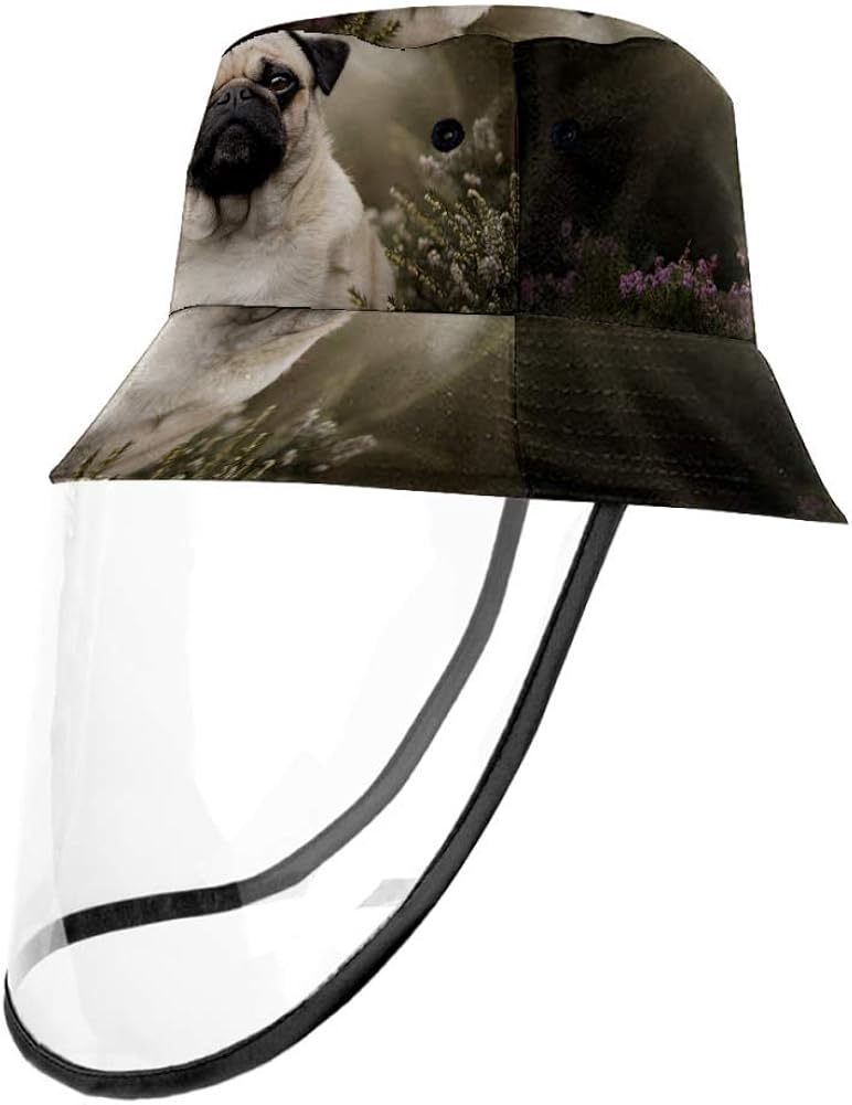 Sombrero para perros, con visera para el sol, con diseño de animales