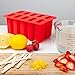RDLC & Company BPA Free Silicone Popsicle Molds: 10 Count Ice Pop Maker - Freezer Tray, Cover, and 10 Wooden Sticks