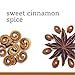 Tazo Sweet Cinnamon Spice Herbal Tea Filterbags (20 count)