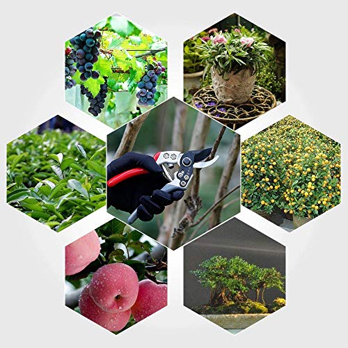 JSDing Gartenschere Baumschere Rebschere Professionelle Astscheren Premium Handscheren Top Gartenscheren rutschfestem… – Bild 7