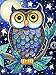 5D Diamond Painting Kits for Adults Full Drill- Diamond Art Kits for Beginners and Students with Adults' Paint-by-Number Kits for Wall Decoration, Gift, Relax (owl)