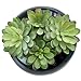 MyGift® Decorative Modern Glazed Black Ceramic Potted Green Artificial Succulent Planter Pot