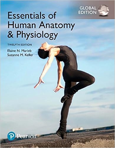 Essentials of Human Anatomy & Physiology, eBook, Global Edition By Elaine N Marieb,Suzanne M. Keller