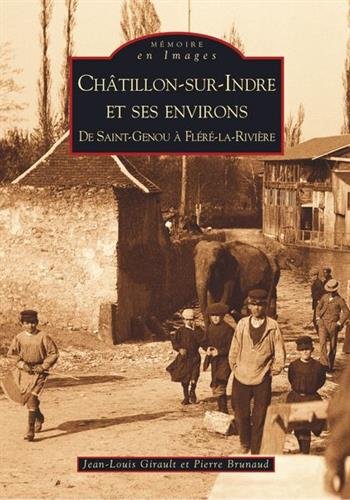 Châtillon-sur-Indre et ses environs