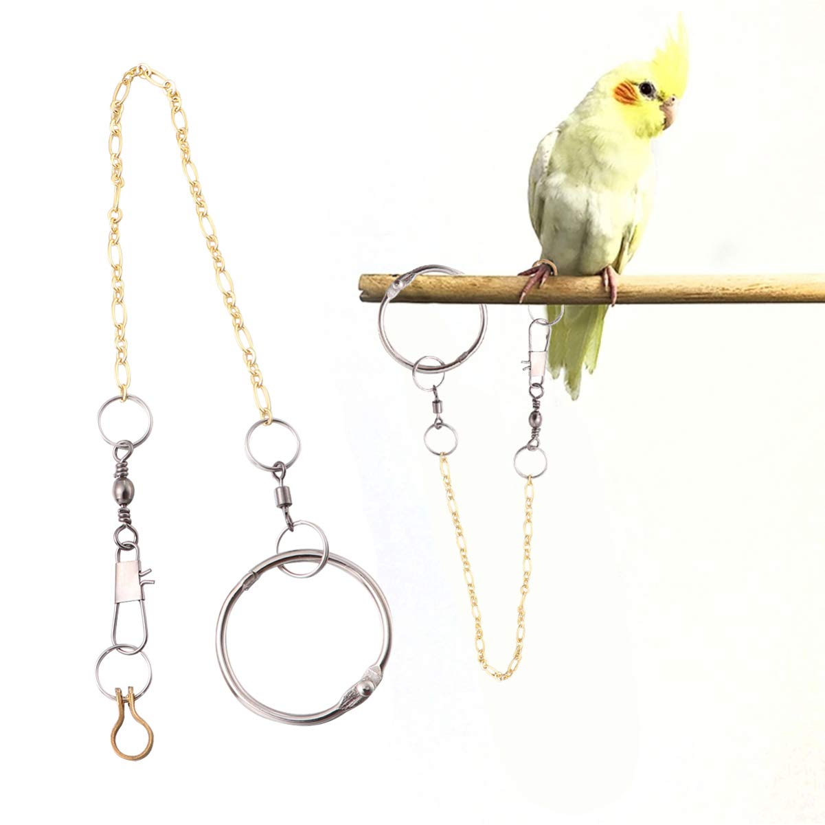 POPETPOP Parrot Buckle Chain Anklet Parrot Lead Accessories Birds Foot Copper Chain for Bird Outdoor Flying