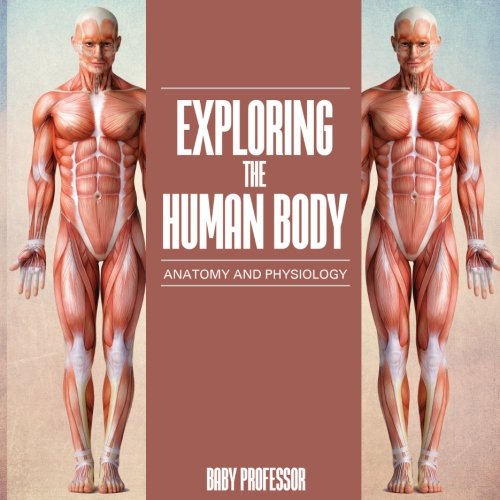 Download Exploring the Human Body | Anatomy and Physiology