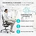 Lumbar Support for Office Chair & Car Back Support for Lower Back Pain Relief, Healthy Posture, and Improved Productivity - Includes Desk Chair Back Support and Car Lumbar Support for Driving