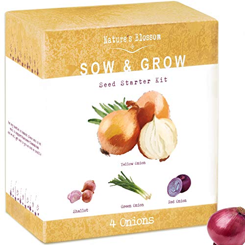 Nature's Blossom Onion Seed Starter Kit Beginners Indoor Gardening Set to Grow 4 Different