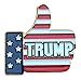 CandiSen Donald Trump Thumbs Up Pin - Made in USA - President Trump Gift, Metal Enamel Button on American Flag
